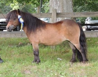 Roten&auml;s Rosalie