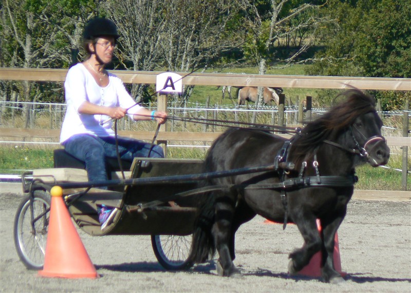 Charlotte Dellenfalk,Helida.JPG