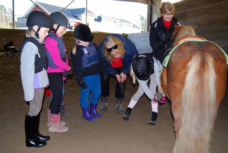 Teori om hoven 22 nov.-14.jpg